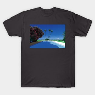 hiroshi nagai - Time Goes By Hiroshi Nagai T-Shirt